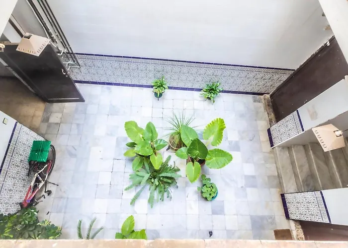 Sh L'azotea D'horozco. Atico Con Terraza. Ac, Wifi Lägenhet